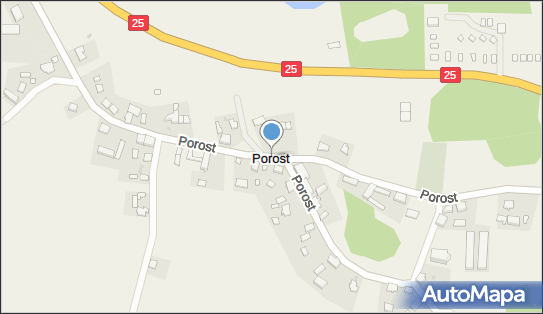 Porost, Porost - Inne