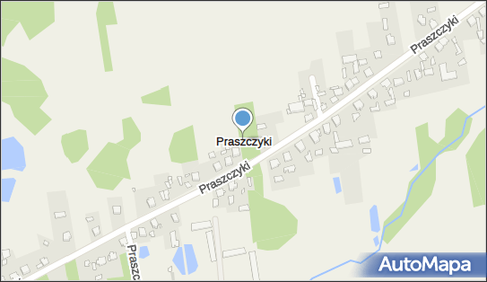 Praszczyki, Praszczyki - Inne