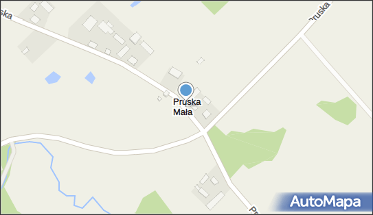 Pruska Mała, Pruska Mała - Inne