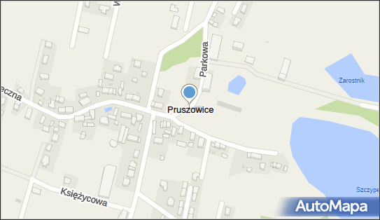 Pruszowice, Pruszowice - Inne