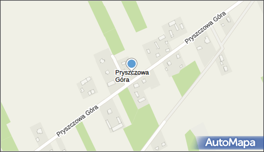 Pryszczowa Góra, Pryszczowa Góra - Inne