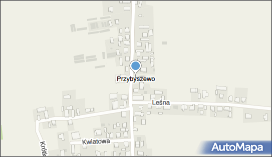 Przybyszewo (województwo wielkopolskie), Przybyszewo - Inne