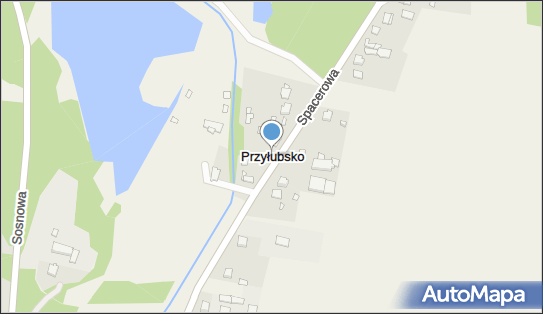 Przyłubsko, Przyłubsko - Inne