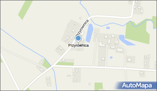 Przyrownica, Przyrownica - Inne