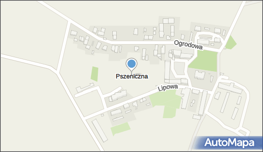 Pszeniczna, Pszeniczna - Inne