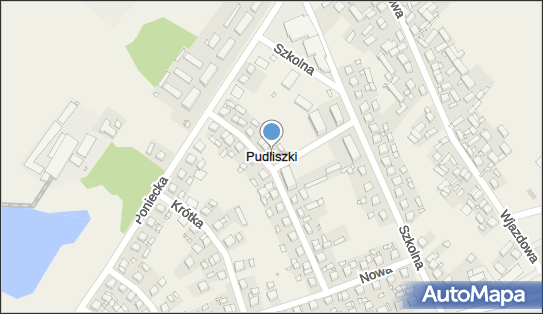 Pudliszki, Pudliszki - Inne