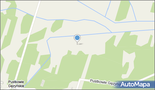 Pustkowie Gęzyńskie, Gęzyn - Inne