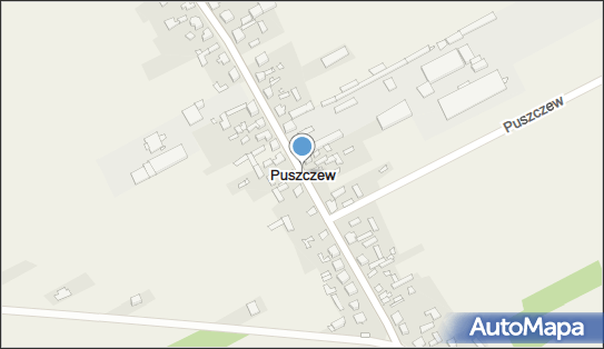 Puszczew, Puszczew - Inne