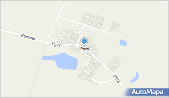Pyzy, Pyzy - Inne