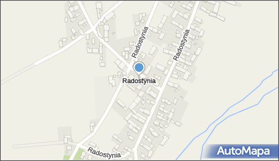 Radostynia, Radostynia - Inne