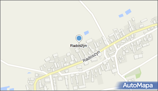 Radoszyn, Radoszyn - Inne