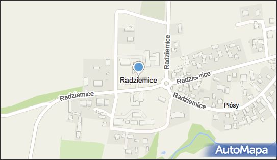 Radziemice, Radziemice - Inne