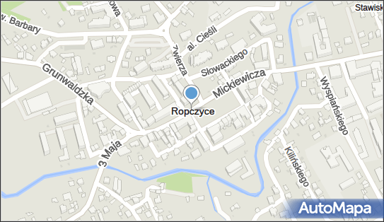 Ropczyce, Ropczyce - Inne