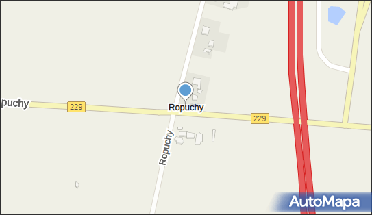 Ropuchy, Ropuchy - Inne