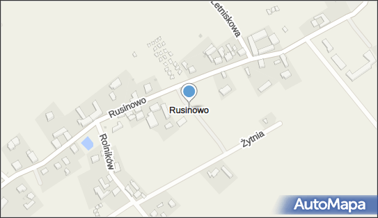 Rusinowo (powiat sławieński), Rusinowo - Inne