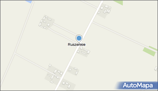 Ruszenice, Ruszenice - Inne