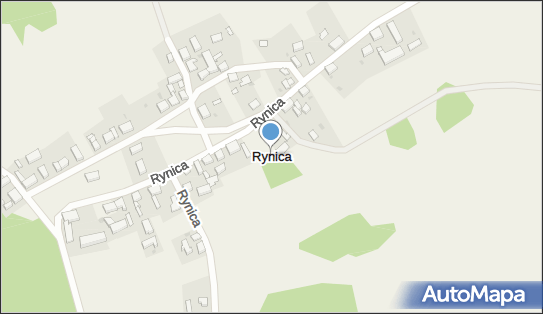 Rynica, Rynica - Inne