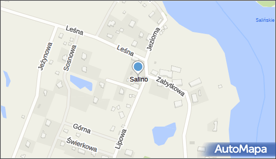 Salino, Salino - Inne