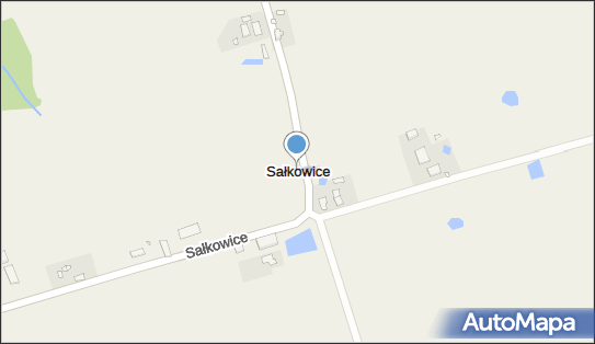 Sałkowice, Sałkowice - Inne