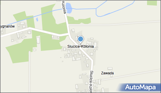 Siucice-Kolonia, Siucice-Kolonia - Inne