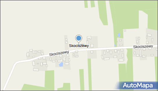 Skociszewy, Skociszewy - Inne