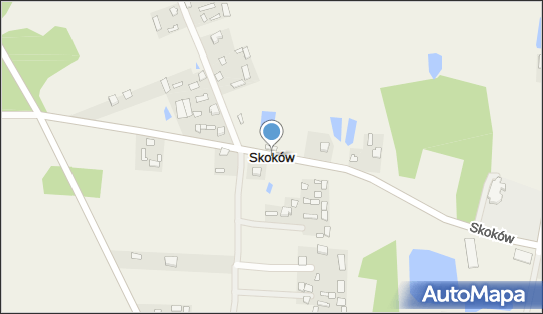 Skoków (województwo lubelskie), Skoków - Inne