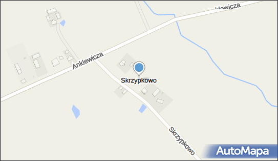 Skrzypkowo, Skrzypkowo - Inne