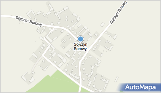 Sojczyn Borowy, Sojczyn Borowy - Inne