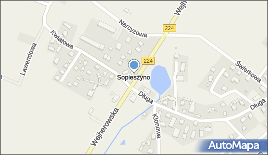 Sopieszyno, Sopieszyno - Inne