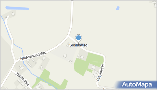 Sosnowiec (województwo wielkopolskie), Sosnowiec - Inne