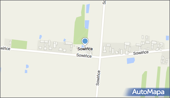 Sowińce, Sowińce - Inne