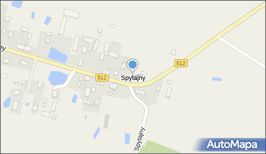 Spytajny, Spytajny - Inne