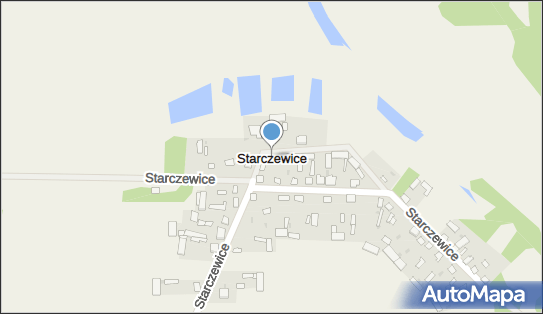 Starczewice, Starczewice - Inne