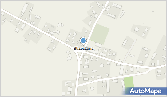 Strzeczona, Strzeczona - Inne