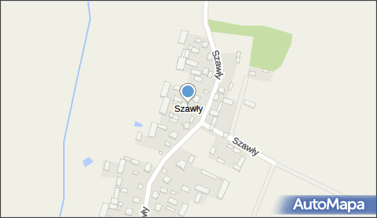 Szawły, Szawły - Inne
