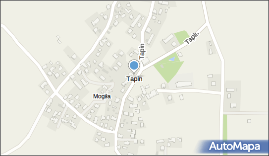 Tapin, Tapin - Inne
