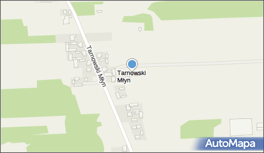 Tarnowski Młyn (powiat turecki), Tarnowski Młyn - Inne