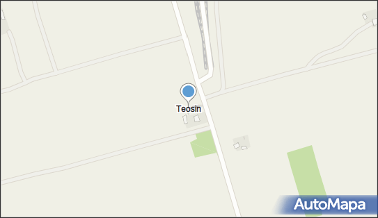 Teosin, Teosin - Inne