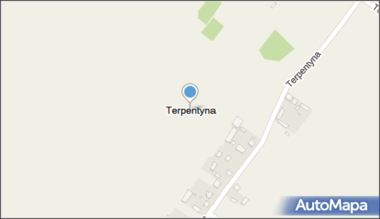 Terpentyna (województwo lubelskie), Terpentyna - Inne