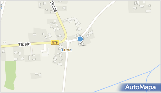 Tłuste (województwo mazowieckie), Tłuste, Tłuste 05-825 - Inne