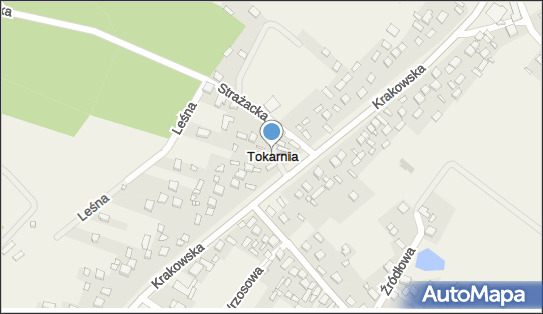 Tokarnia (województwo świętokrzyskie), Tokarnia - Inne