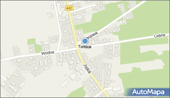 Tomice (powiat pleszewski), Leśna, Tomice 63-308 - Inne
