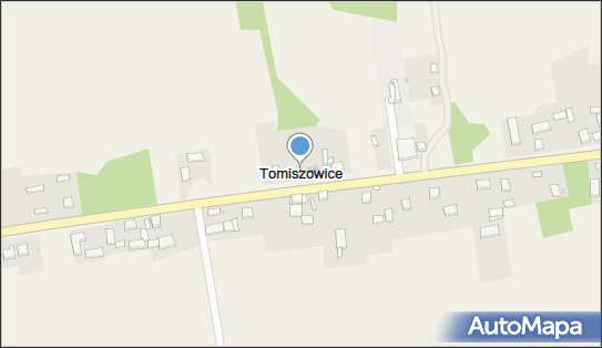 Tomiszowice, Tomiszowice - Inne