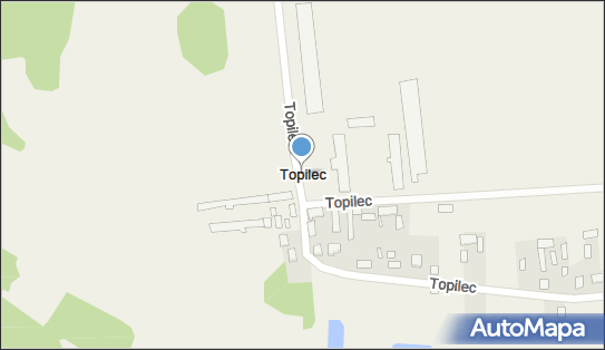 Topilec, Topilec - Inne