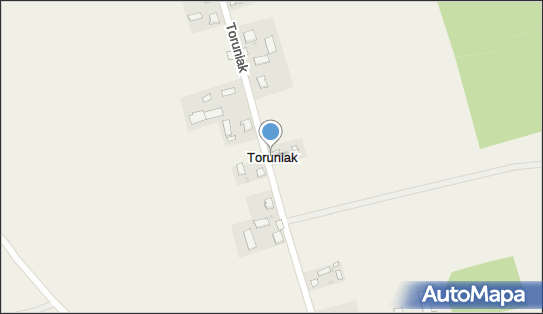 Toruniak, Toruniak - Inne