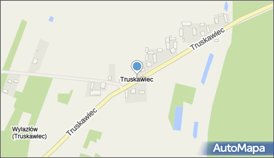 Truskawiec (gmina Poddębice), Truskawiec - Inne