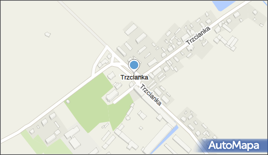 Trzcianka (powiat nowotomyski), Trzcianka - Inne