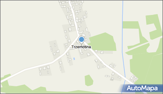 Trzemosna, Trzemosna - Inne