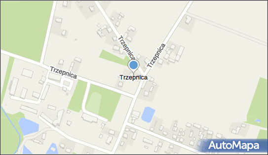 Trzepnica, Trzepnica - Inne