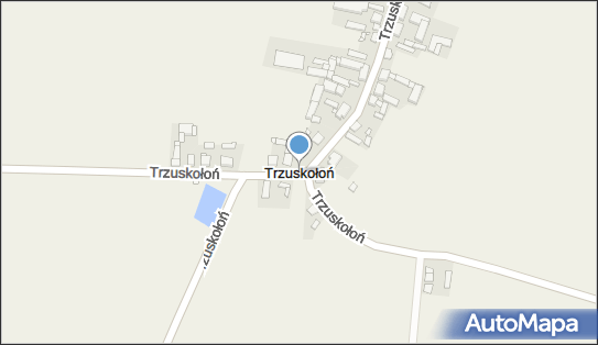 Trzuskołoń, Trzuskołoń - Inne